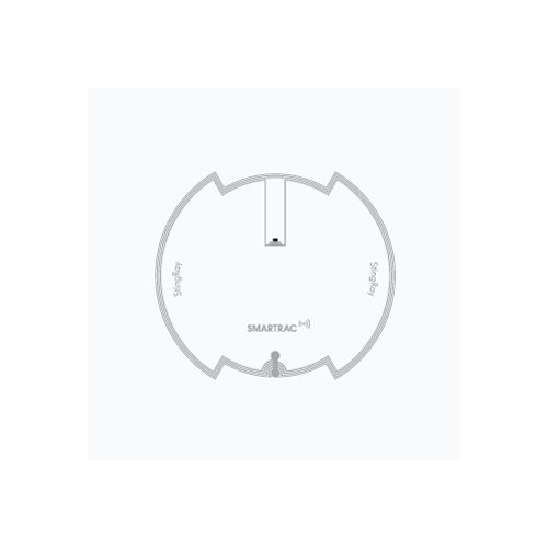 HF RFID Wet Inlay Stingray...