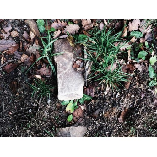POD TRAK 85